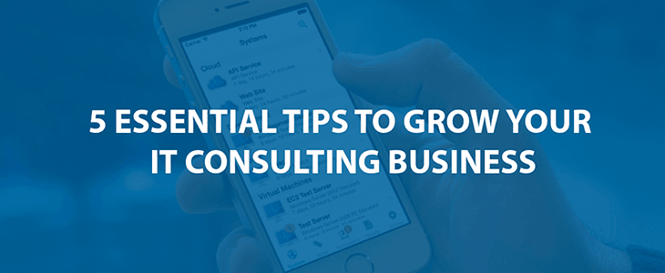 5 Essential Tips on Growing your IT Consulting Business